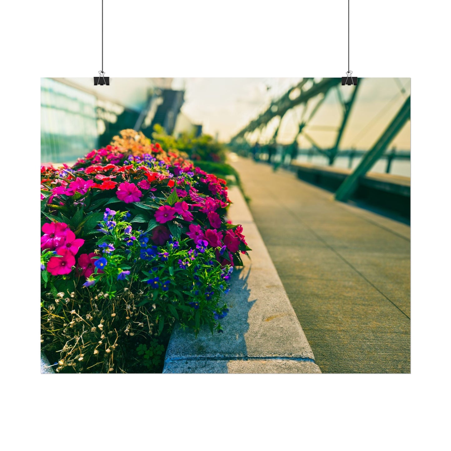 'Pier 57' Floral Rolled Posters for Home Décor