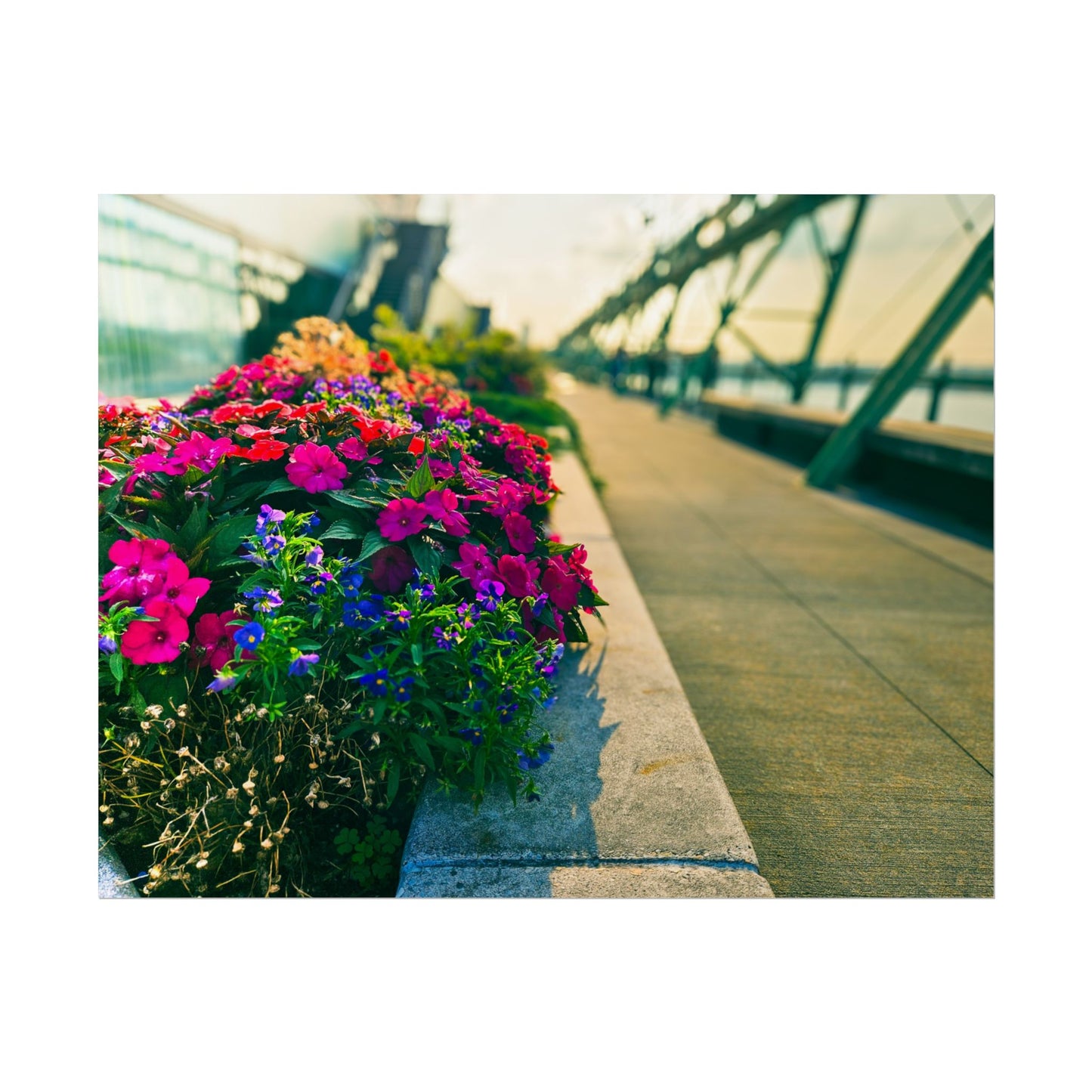 'Pier 57' Floral Rolled Posters for Home Décor