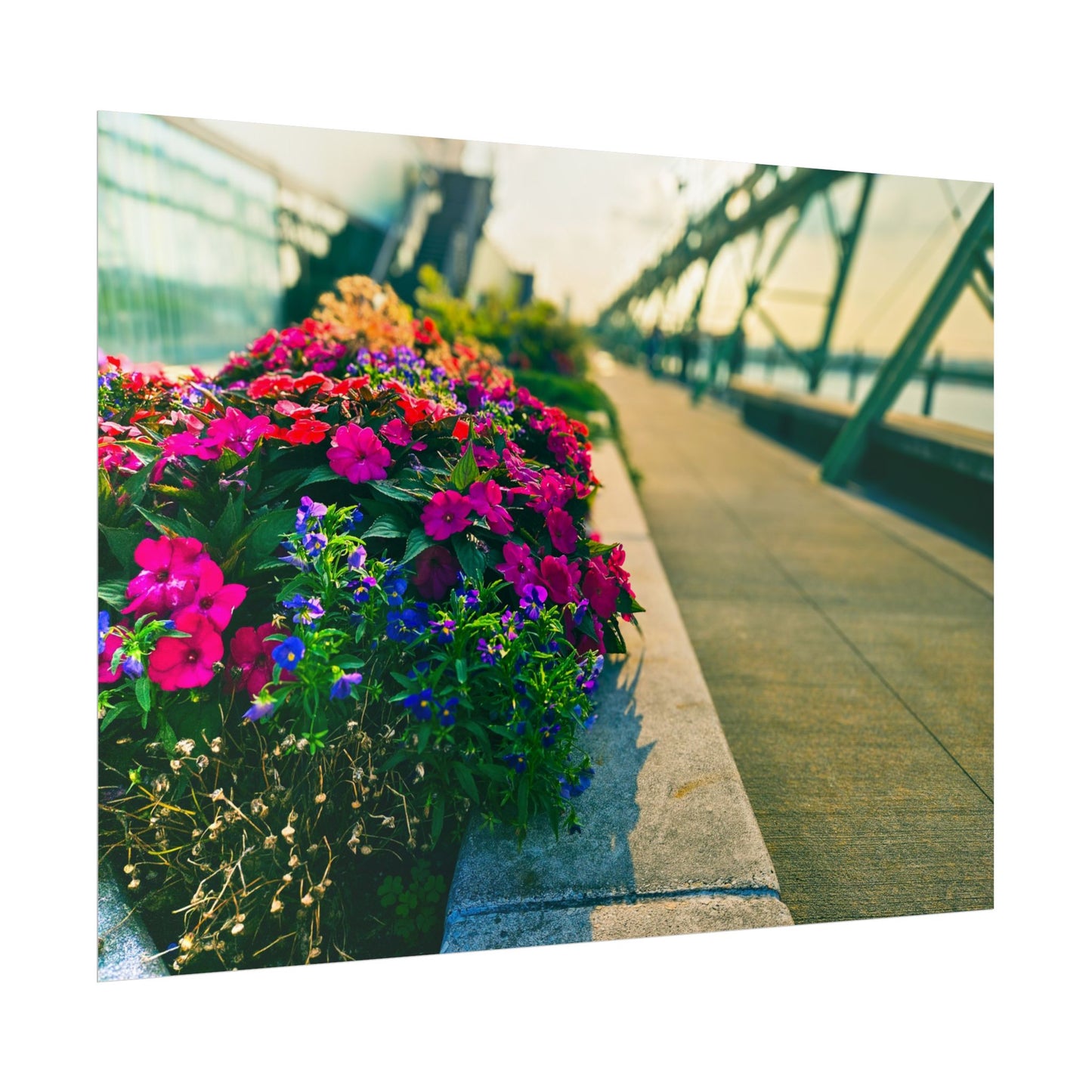 'Pier 57' Floral Rolled Posters for Home Décor