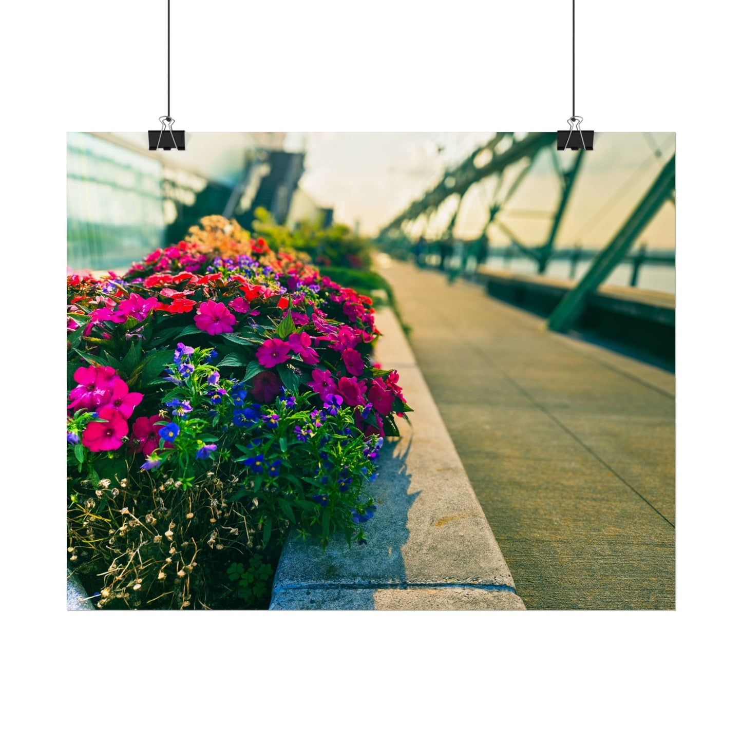 'Pier 57' Floral Rolled Posters for Home Décor