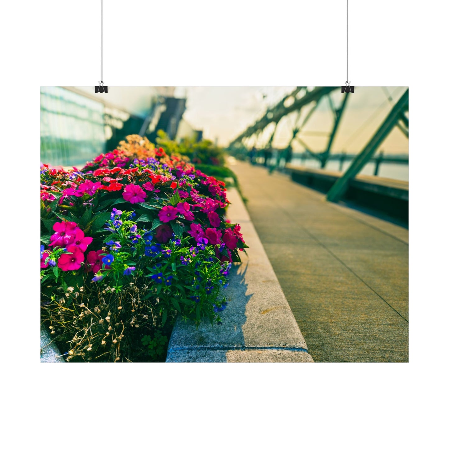 'Pier 57' Floral Rolled Posters for Home Décor