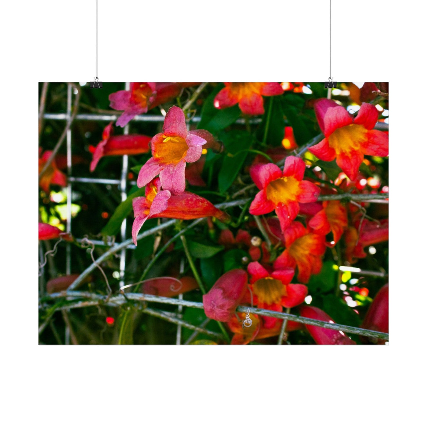 Vibrant Floral Rolled Poster | Brighten Your Space with Nature's Beauty