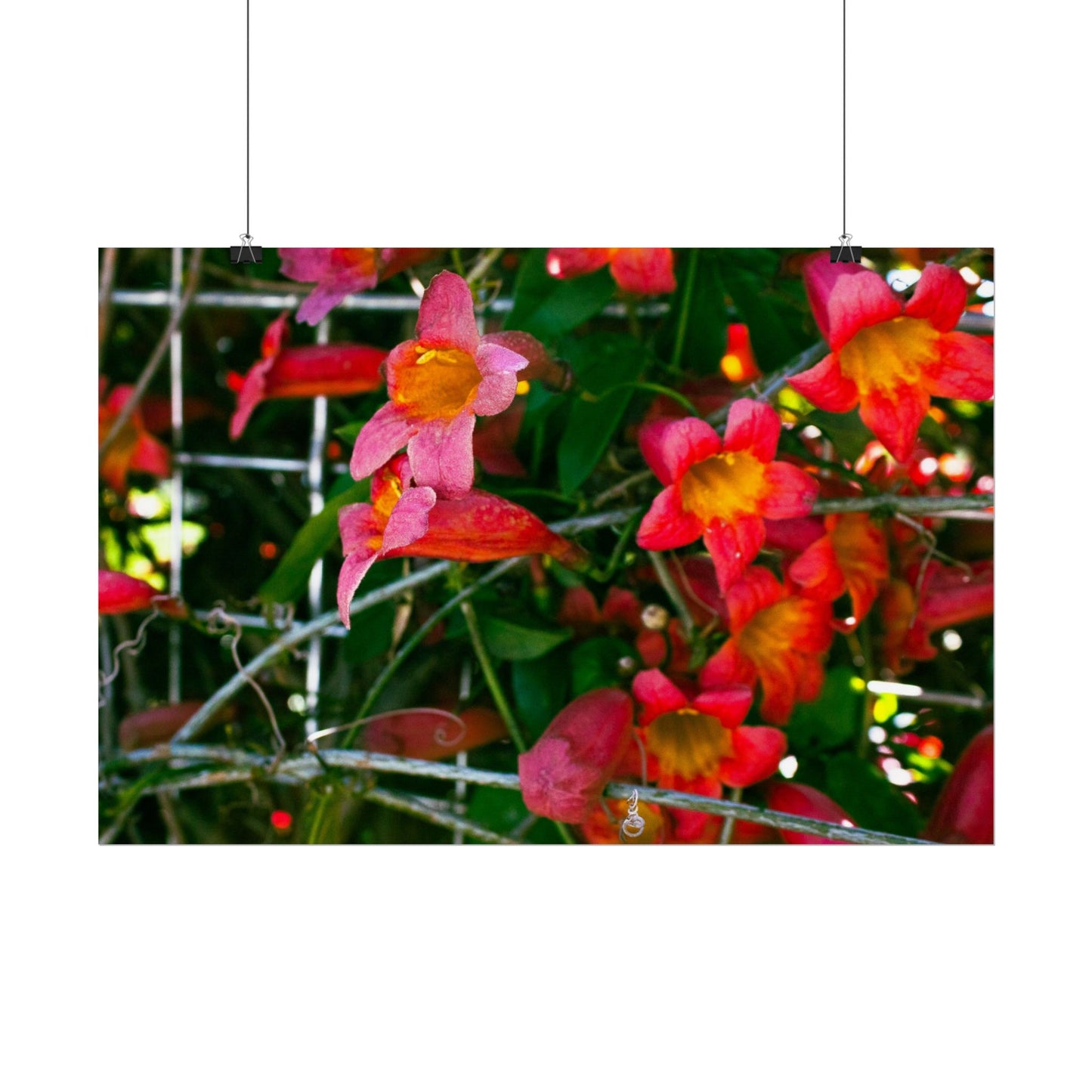 Vibrant Floral Rolled Poster | Brighten Your Space with Nature's Beauty