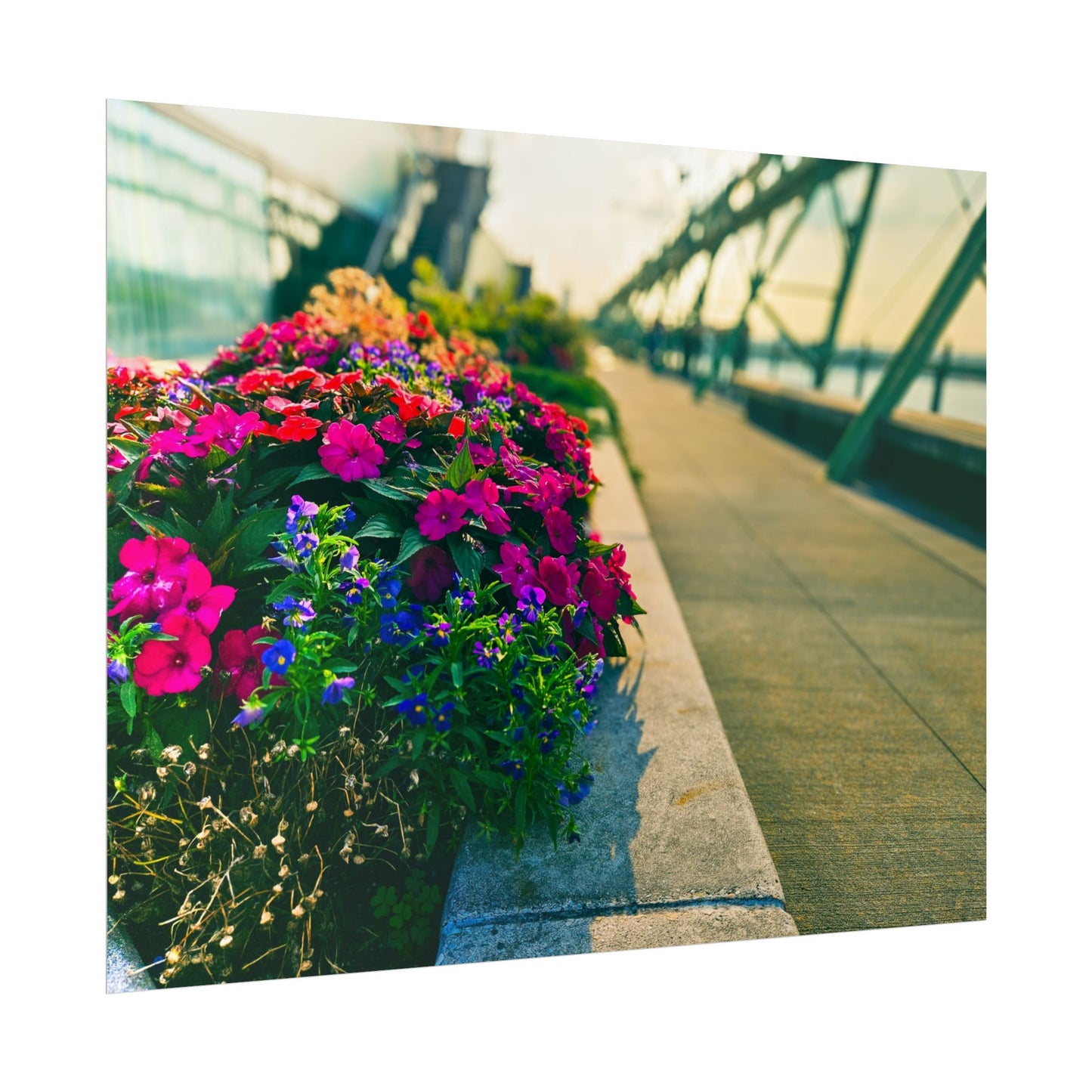 'Pier 57' Floral Rolled Posters for Home Décor